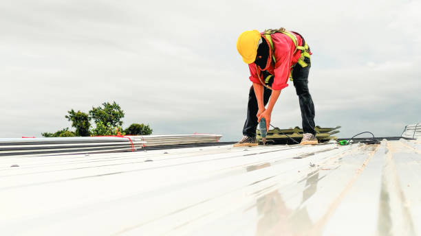 Sheet Metal Roofing in Butte, AK